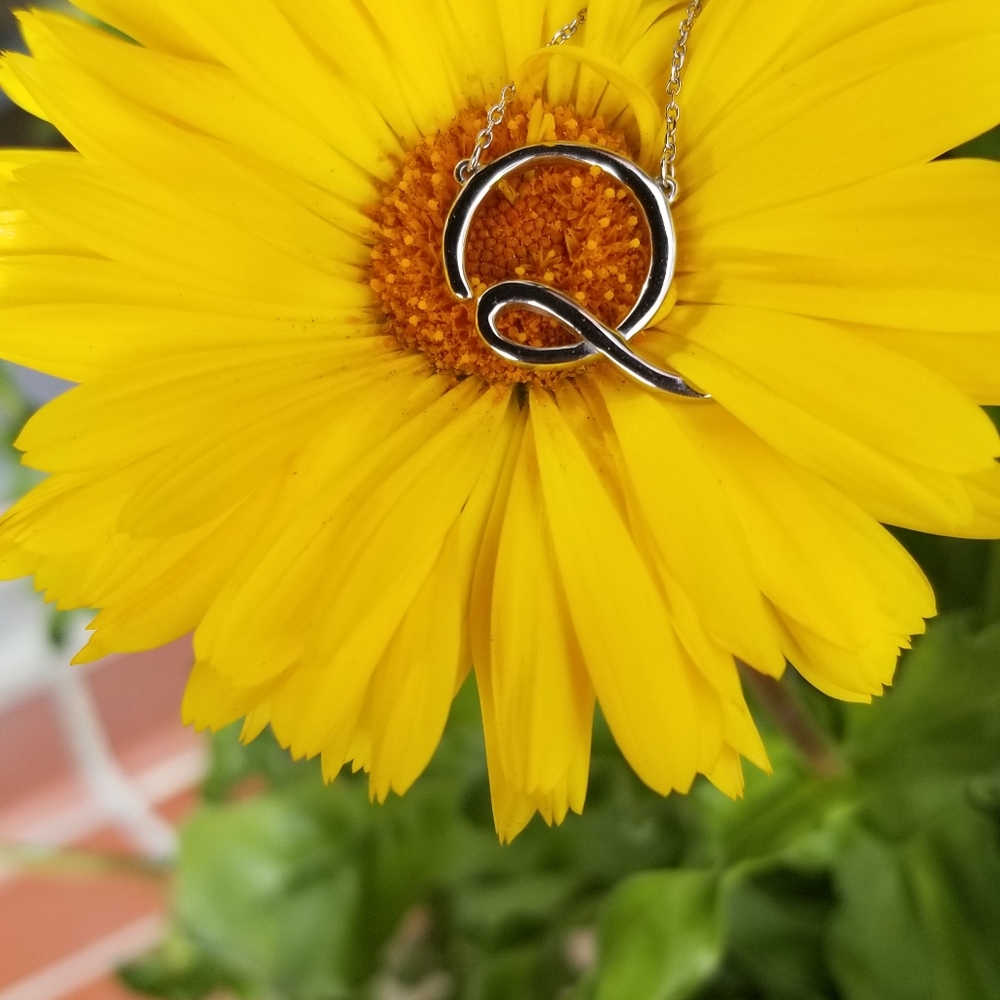 Meet your Posher, Joanne